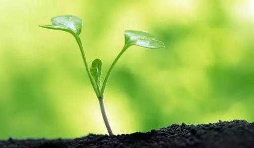 烈冰助力||RNA-seq揭示老化有機氯農藥帶來的長期環境風險