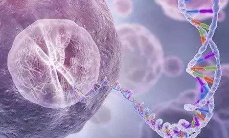 烈冰助力snRNA-Seq||震驚！凍存樣本也能做單細胞？