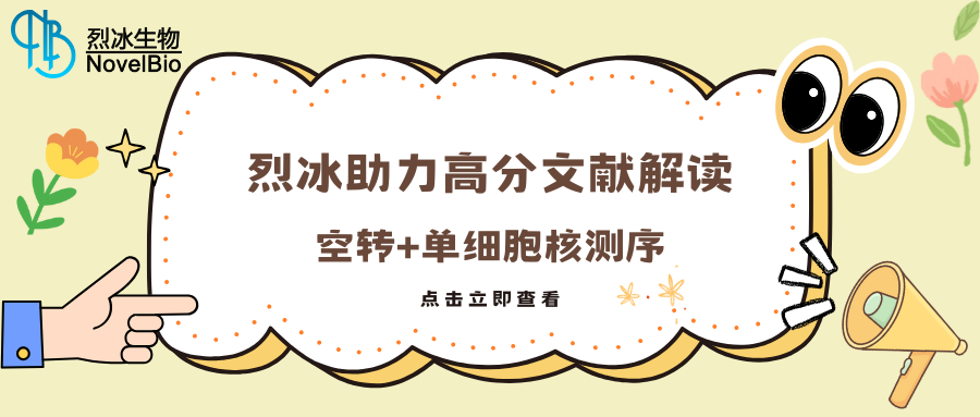 【烈冰助力】空轉+單細胞核測序助力  “肌內脂肪生成機制”探索
