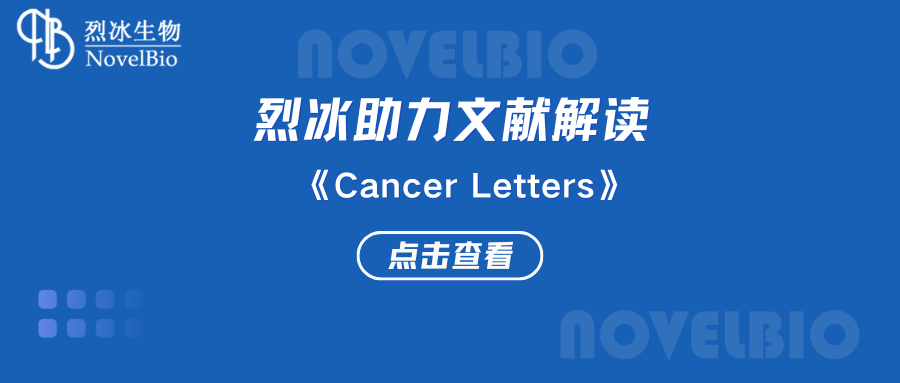 【烈冰助力】單細胞RNA-seq揭示了轉移性腎細胞癌的異質性和抗血管生成治療在胰腺轉移性病變中的作用