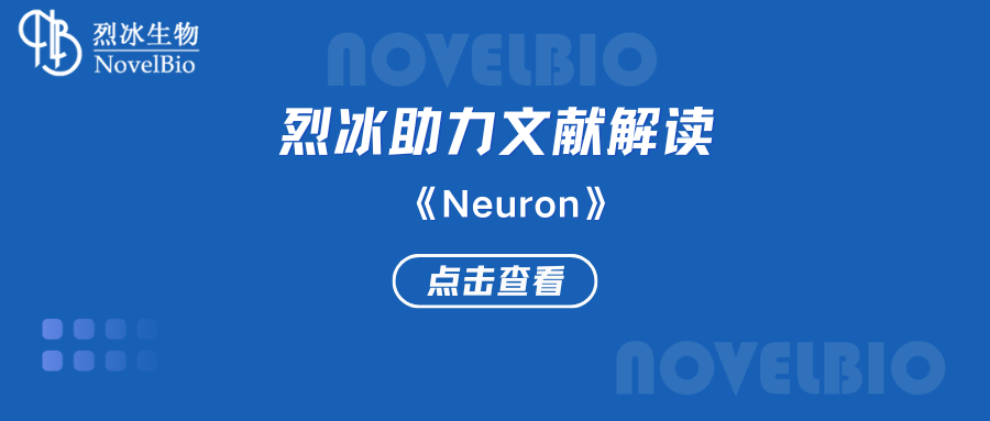 【烈冰助力】腫瘤-神經交界處的鉀離子通道增強癲癇膠質母細胞瘤的神經元興奮性