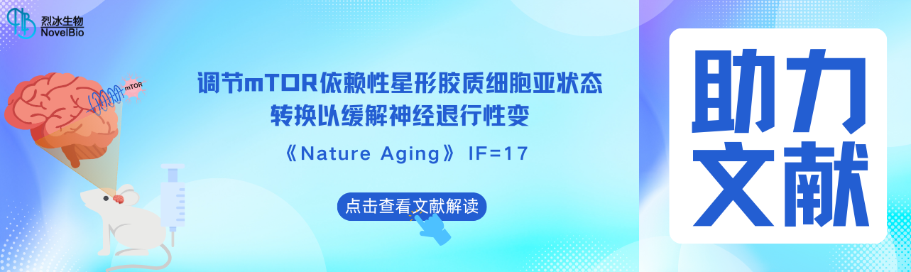 烈冰助力 | Nature Aging（IF = 17） 調控mTOR依賴的星形膠質細胞亞狀態轉變可緩解神經退行性變