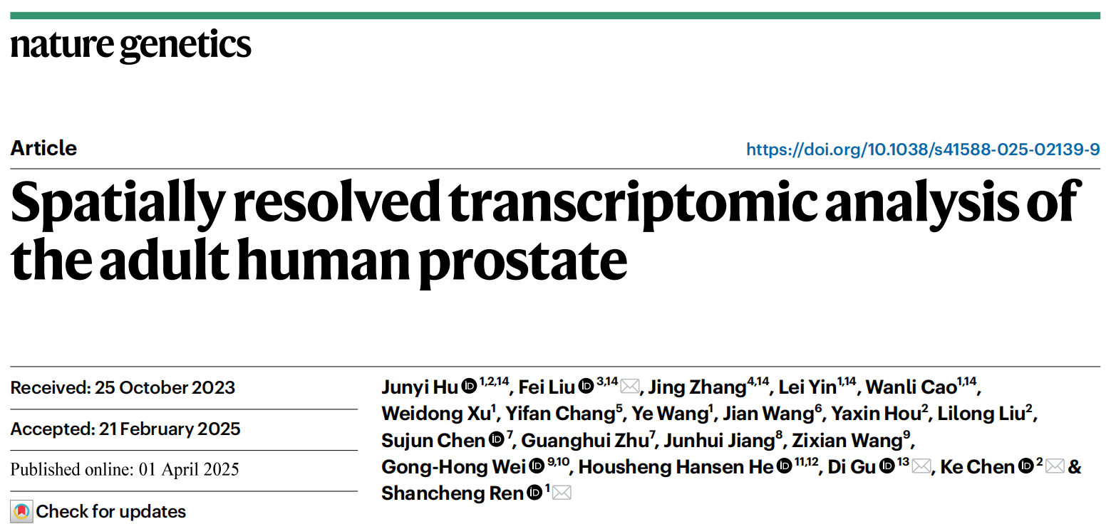 烈冰助力|《Nature Genetics》:成人前列腺空間分辨轉錄組分析